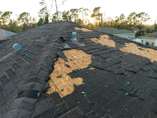 Best 4 Ply Roofing  in Onalaska, TX